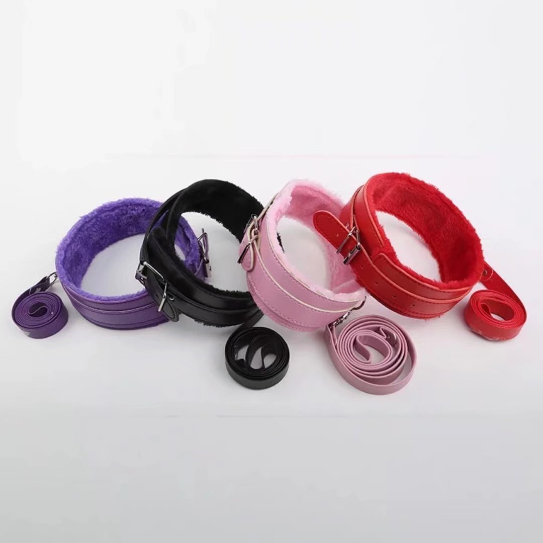 Leather Collar and Leash